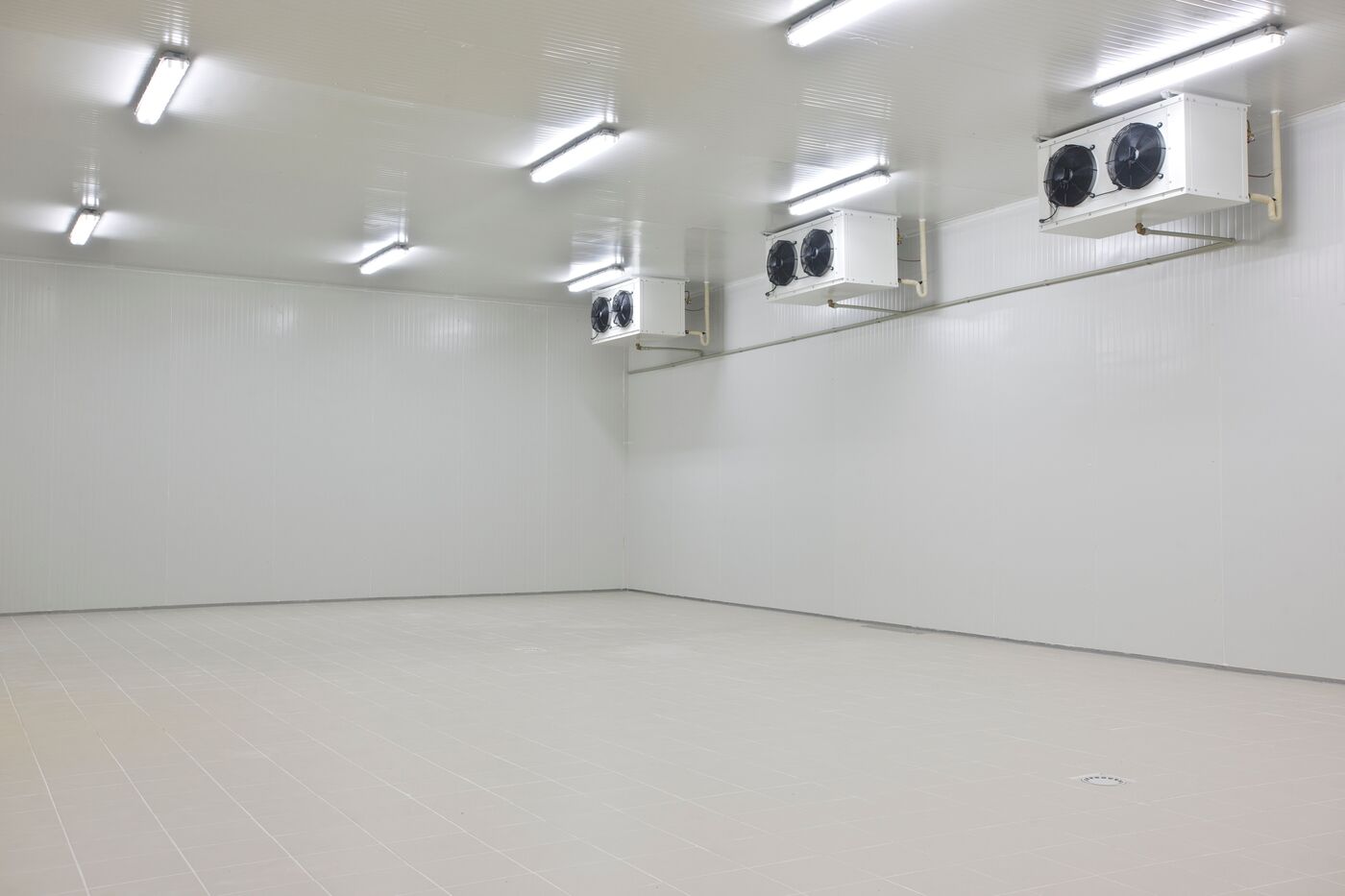 Cámara frigorífica industrial instalada por Anderson Frío Group